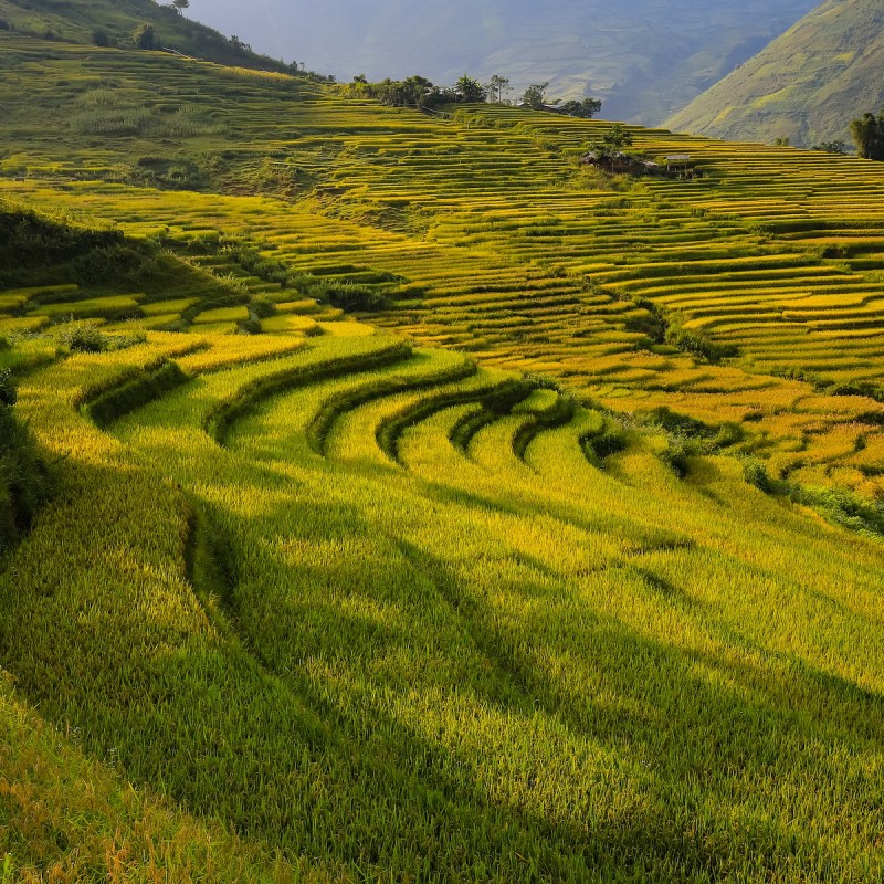 Vietnam: poznejte tuto krásnou zemi jihovýchodní Asie